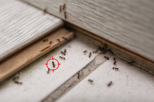Best Exterminator Services  in Leon, IA
