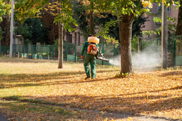 Best Pest Inspection Near Me  in Leon, IA